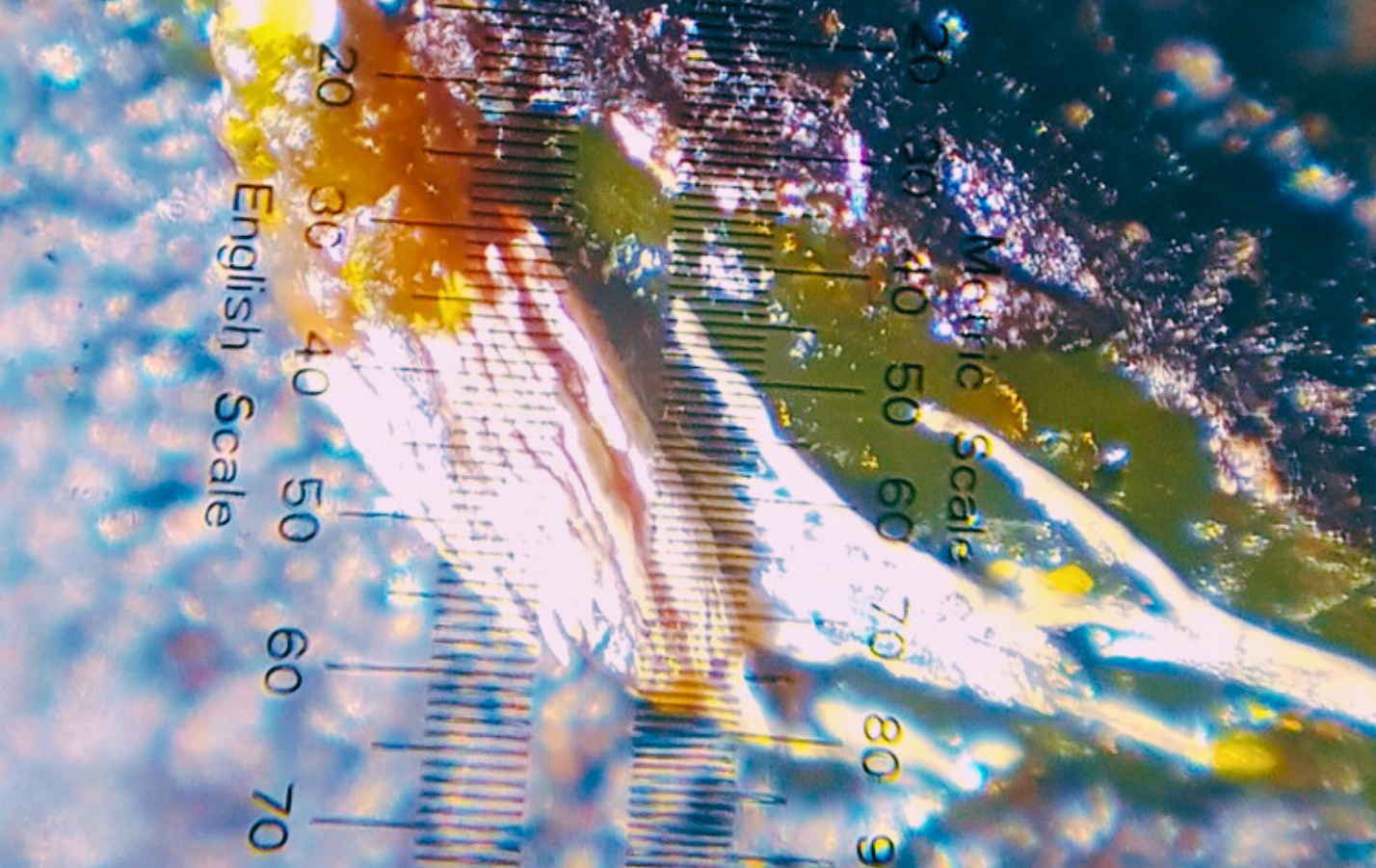 Jakość powłok lakierniczych